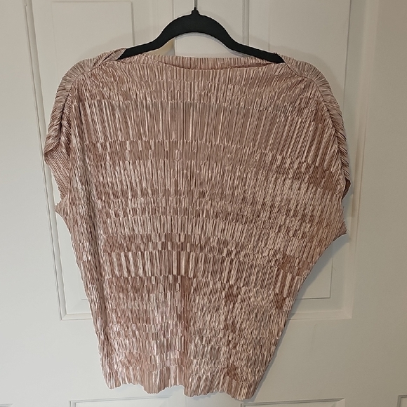 bohme Tops - Bohme XL Pleated Short Sleeve Top - Blush